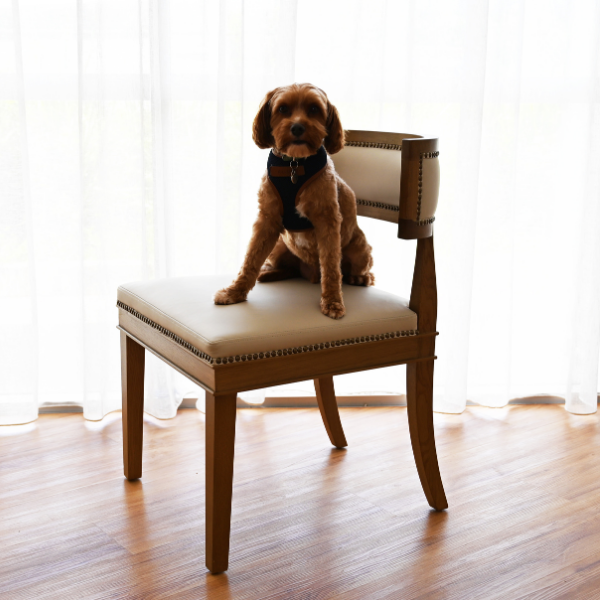 Parker Leather Dining Chair