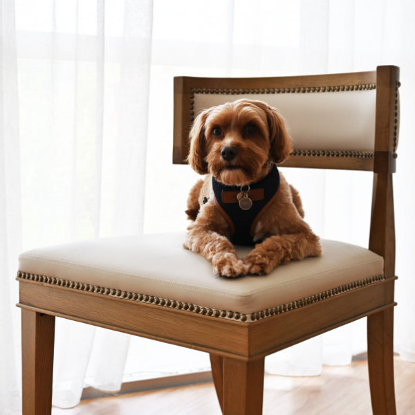 Parker Leather Dining Chair