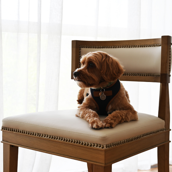 Parker Leather Dining Chair