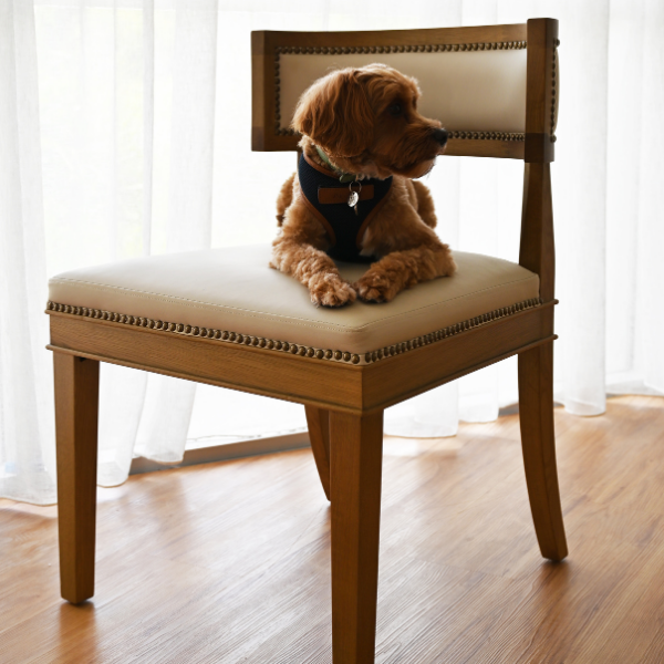 Parker Leather Dining Chair