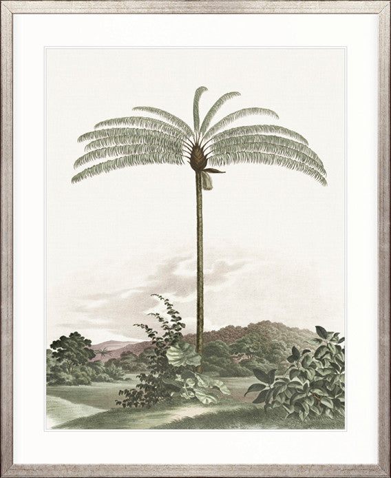 Vintage Palm Study I By Designer Boys