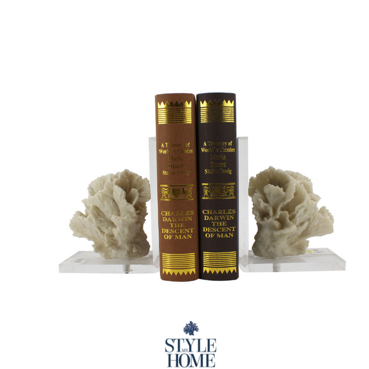 Seaside Coral Bookends- Acrylic Base