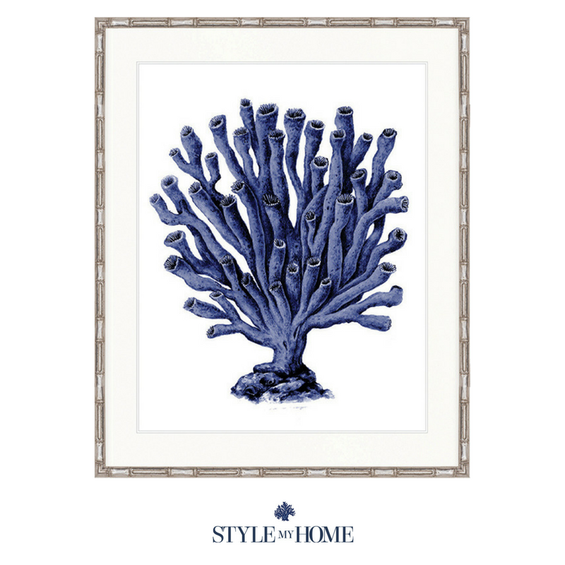 Indigo Coral Splendour Xi Designer Boys