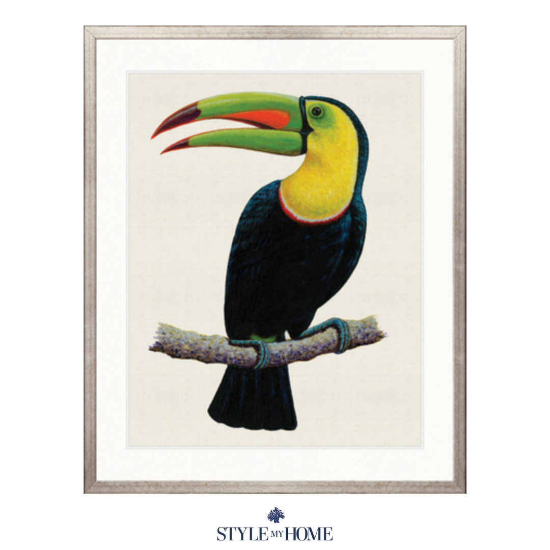 Colourful Toucan Iv