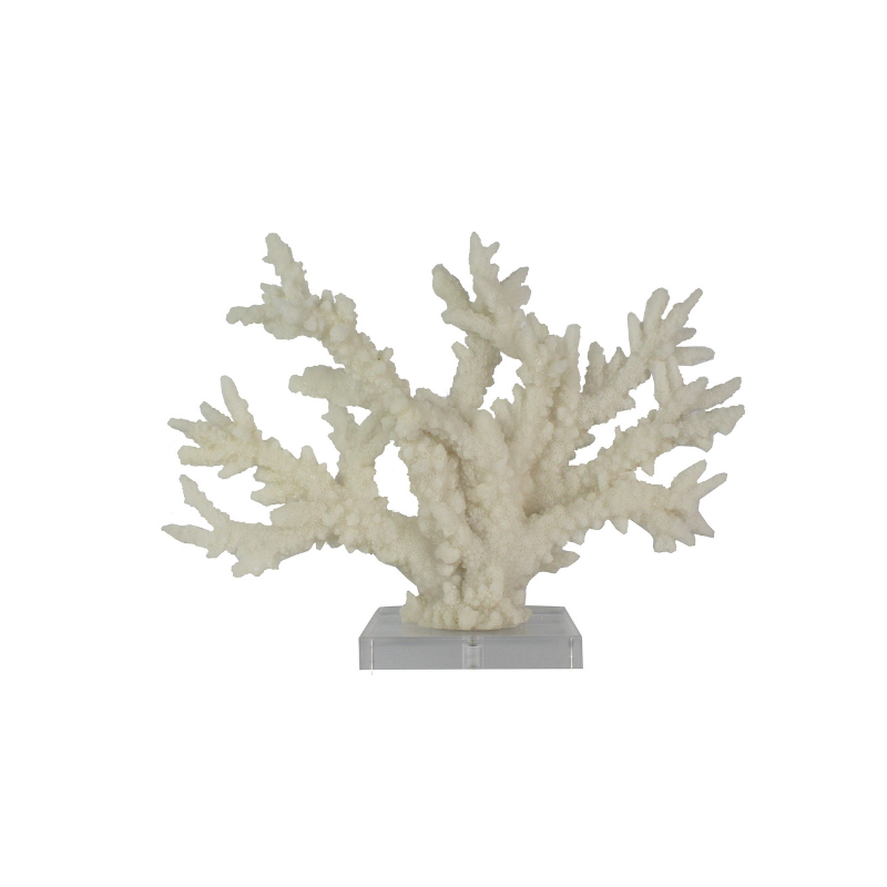 Coral On Acrylic Base- Large