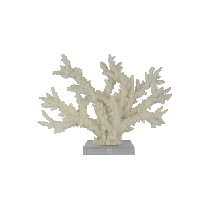 Coral On Acrylic Base- Large