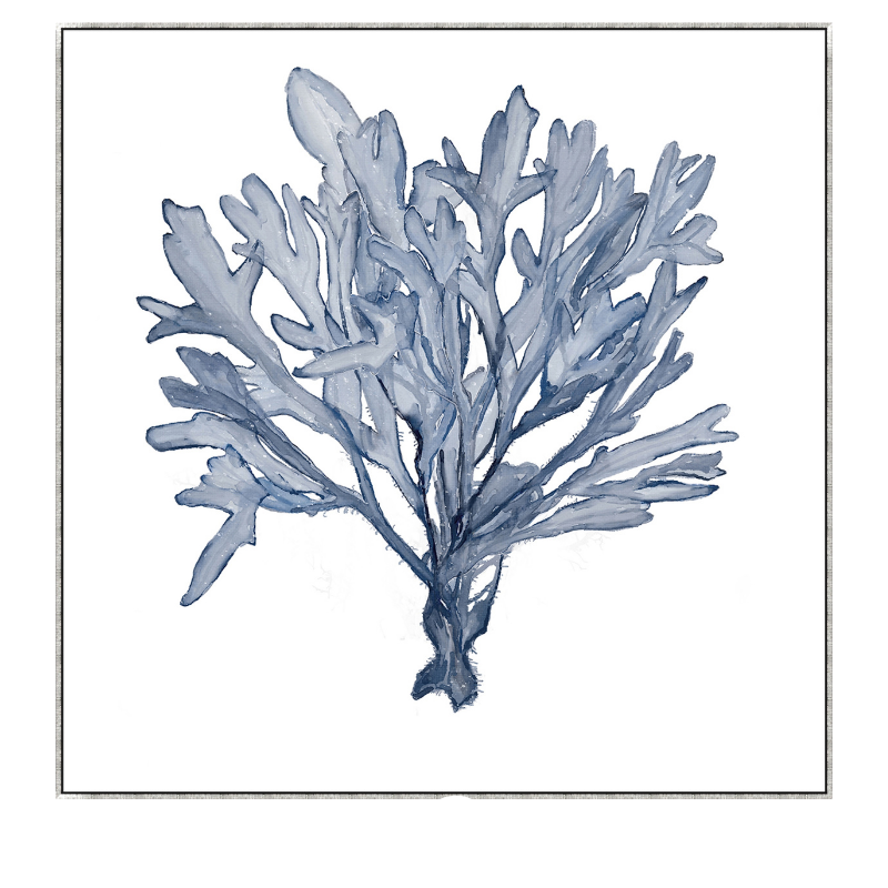 Blue Coral 1 Canvas In Antique Silver Frame