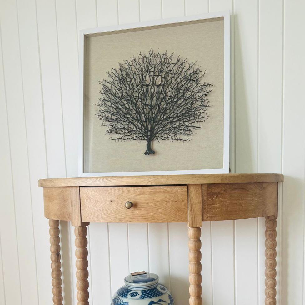 Framed Sea Fan- White Frame