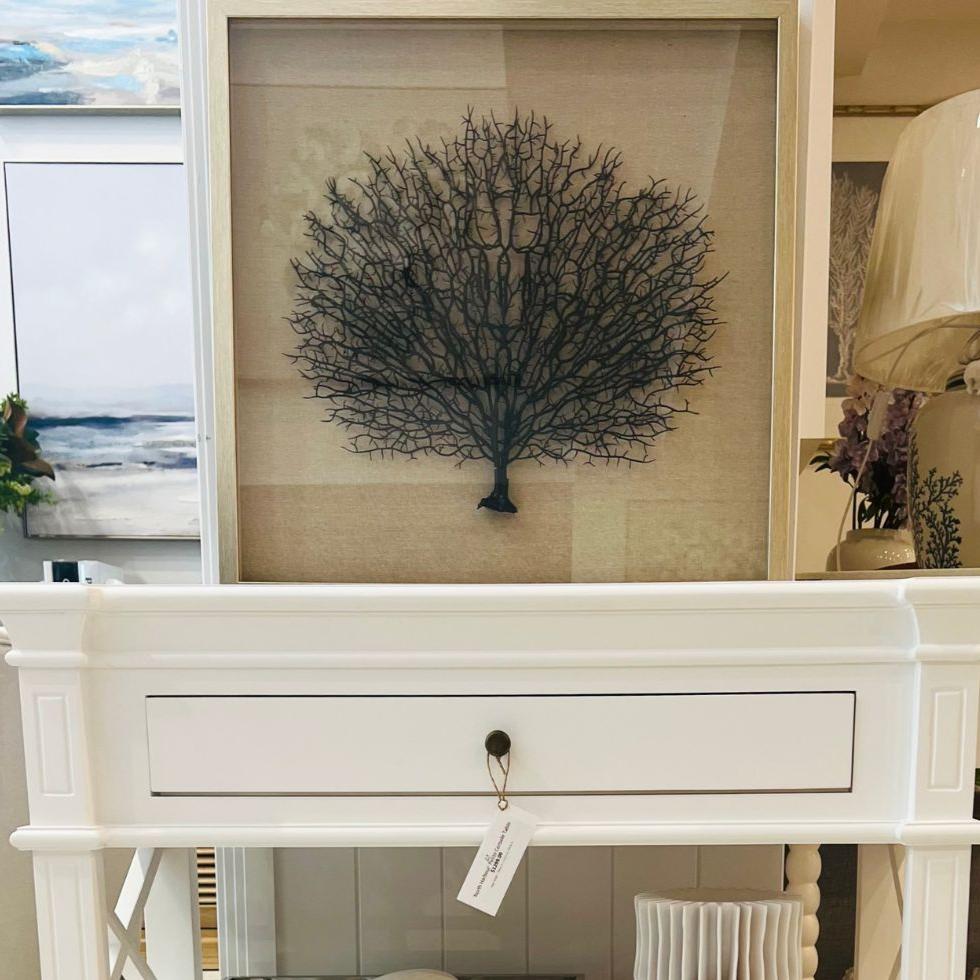 Framed Sea Fan- Champagne Frame