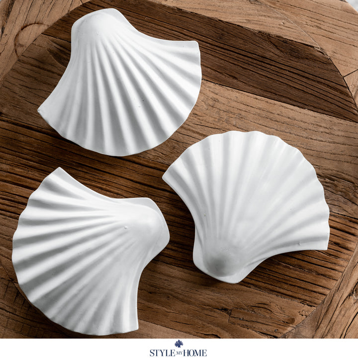 Seashells Trinket Box - White