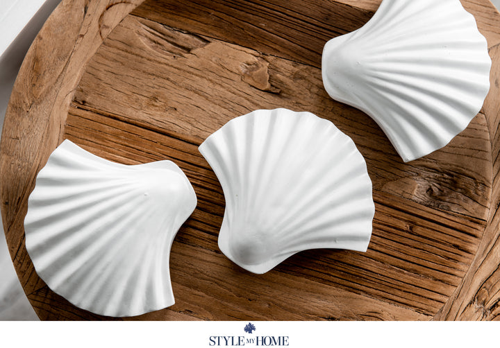 Seashells Trinket Box - White