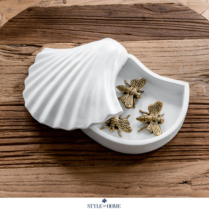 Seashells Trinket Box - White