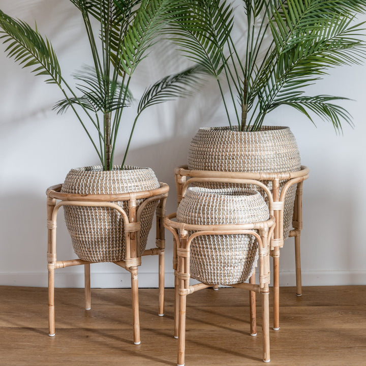 Homestead Rattan Plant Stands And Baskets