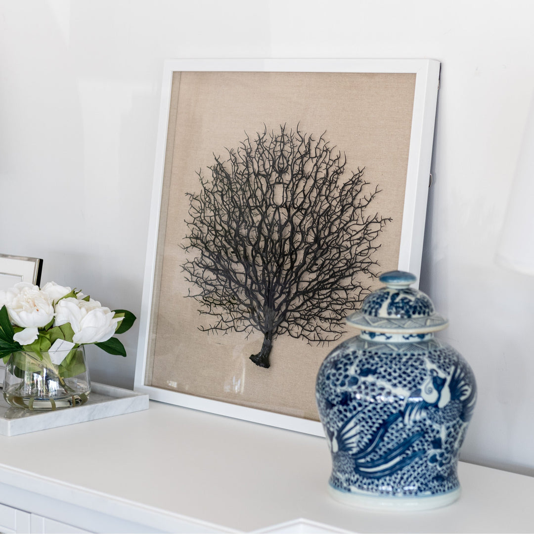 Framed Sea Fan- White Frame