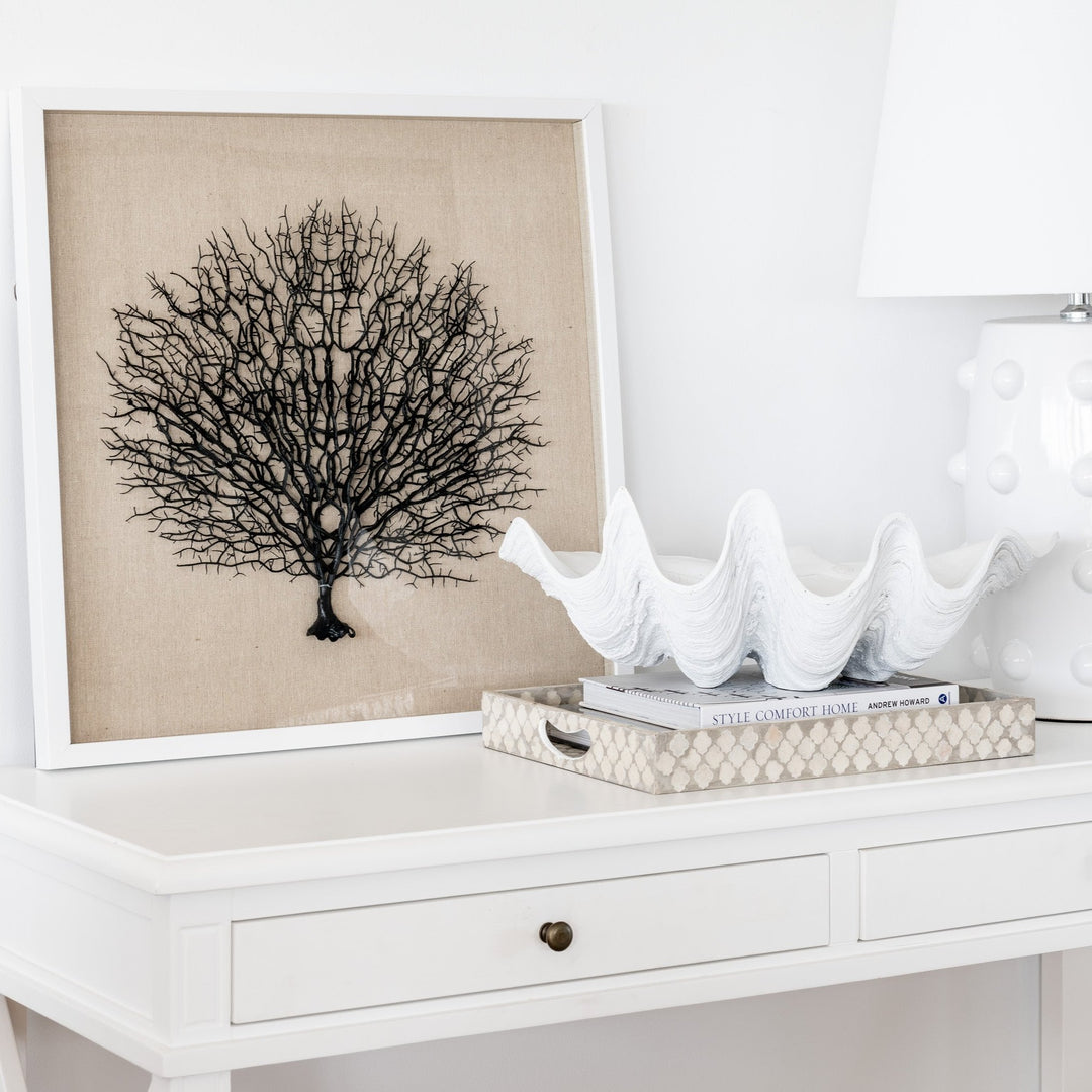 Sea fan framed artwork