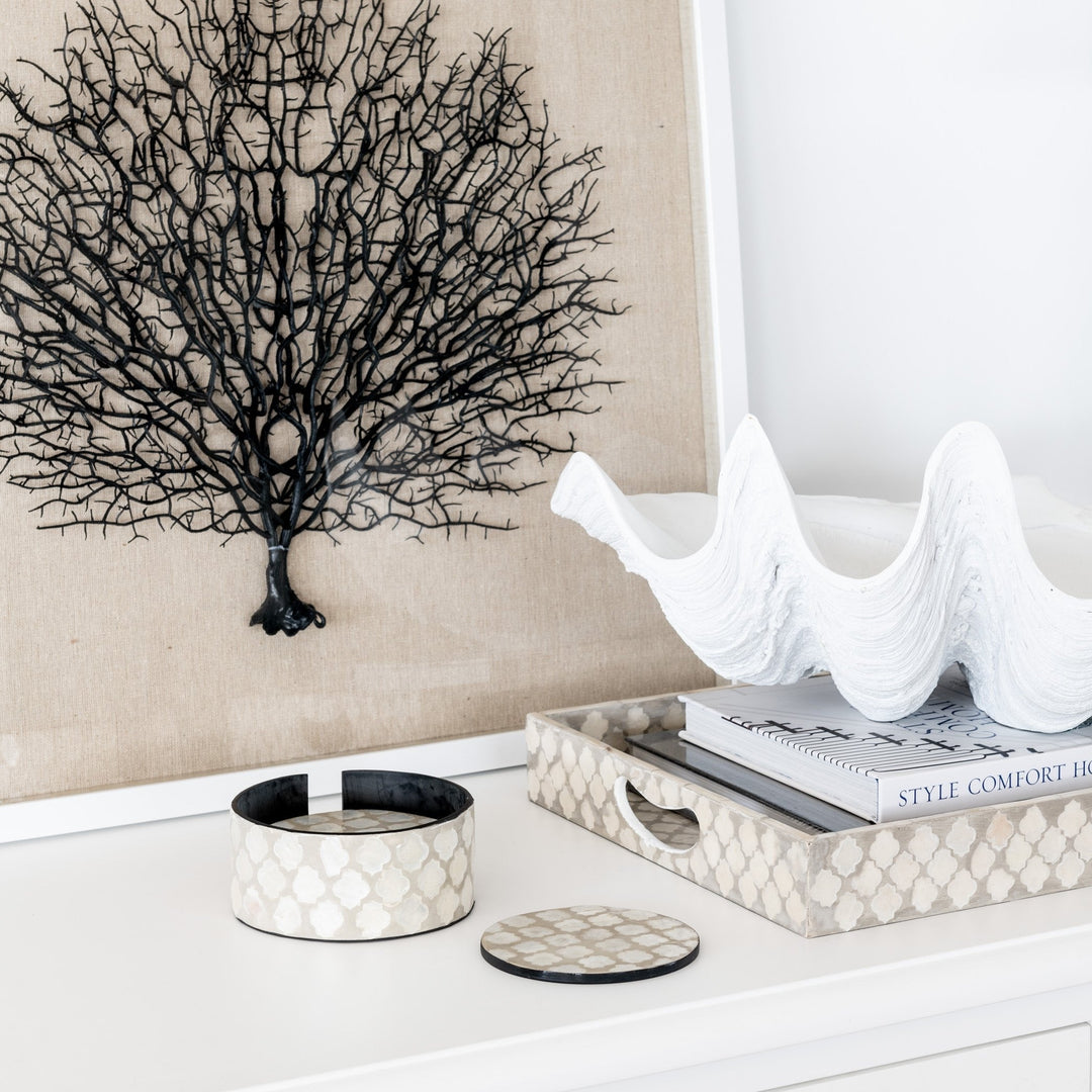 Framed Sea Fan- White Frame