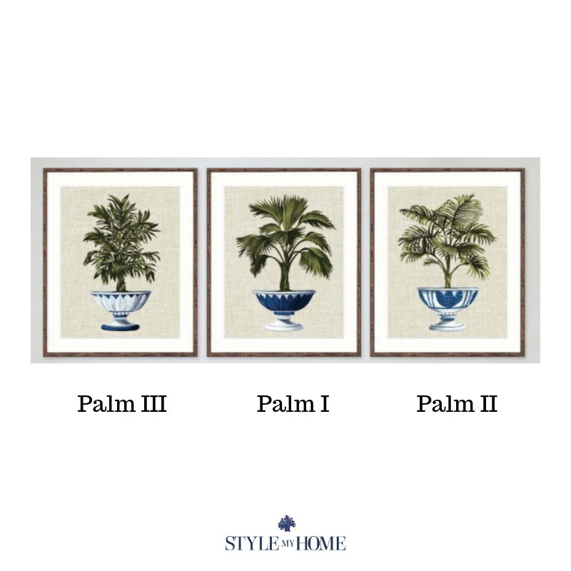 Ornate Palm Framed Prints