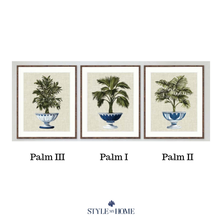 Ornate Palm Framed Prints