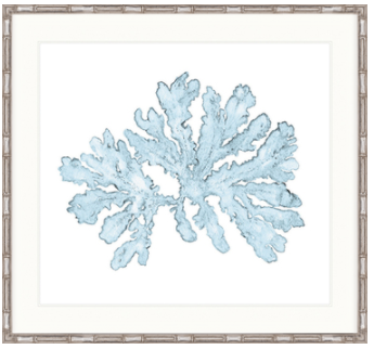 Pale Blue Coral I Framed