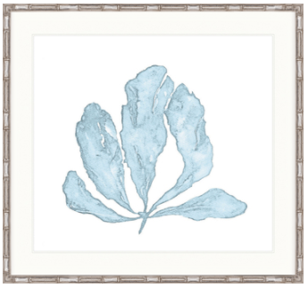 Pale Blue Coral Ii Framed