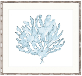 Pale Blue Coral Iii Framed