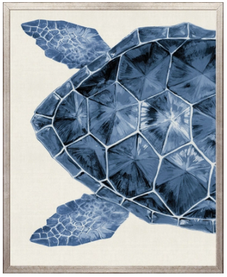 Sea Turtle I