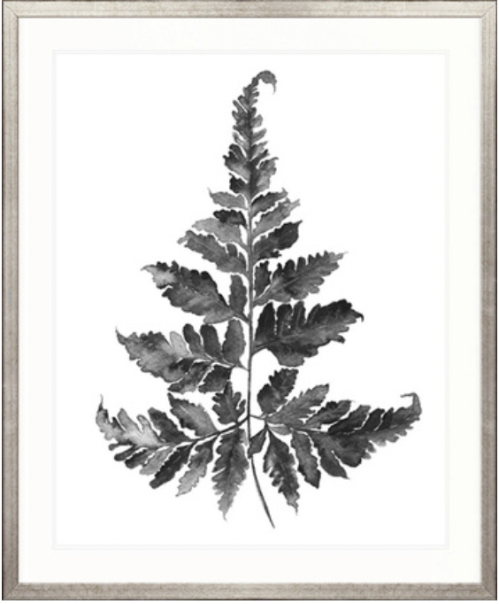 Charcoal Foliage Ii