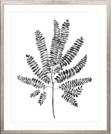 Charcoal Foliage I