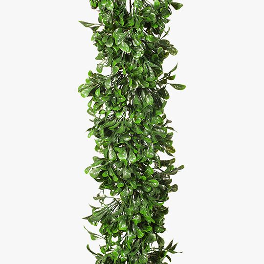 Boxwood Garland