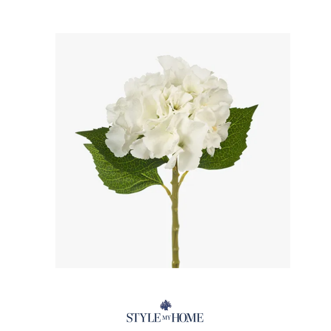 Hydrangea White Small